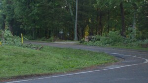 Gastoncodeadlytree